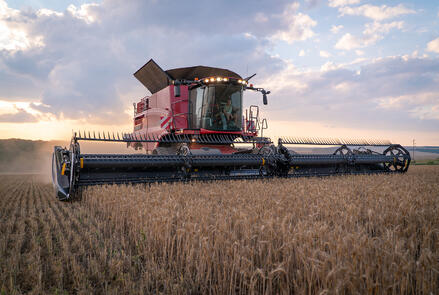 Case IH